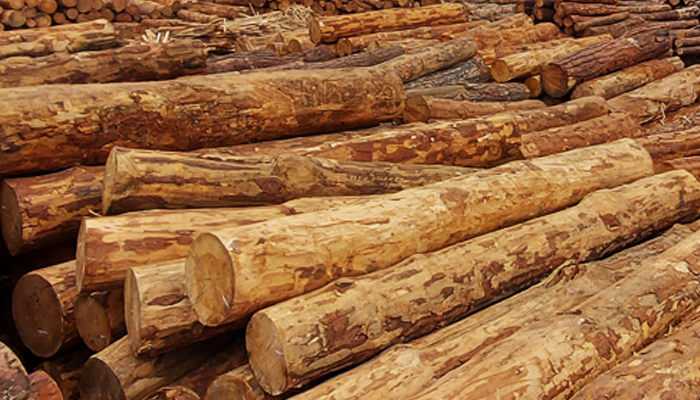 İTHAL VE YERLİ TOMRUK